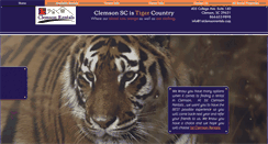Desktop Screenshot of 1stclemsonrentals.com